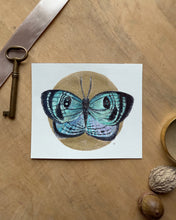 Load image into Gallery viewer, Simomis Croesus Butterfly | Framed Original Watercolor by Cynthia Oswald
