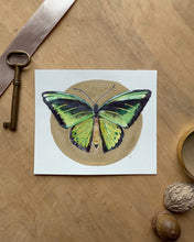 Load image into Gallery viewer, Goliath Birdwing | Framed Original Watercolor by Cynthia Oswald
