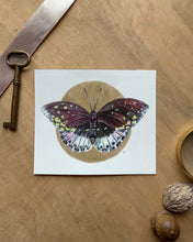 Load image into Gallery viewer, Lexaeus Butterfly | Framed Original Watercolor by Cynthia Oswald
