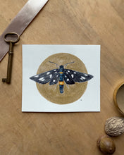 Load image into Gallery viewer, Nine-Spotted Moth | Framed Original Watercolor by Cynthia Oswald
