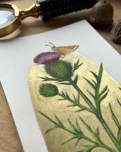 Load image into Gallery viewer, Spear Thistle with Antelope Moth | Framed Original Watercolor by Cynthia Oswald
