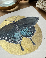 Load image into Gallery viewer, Spicebush Swallowtail | Framed Original Watercolor by Cynthia Oswald
