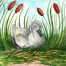 Load image into Gallery viewer, Day 25 of 25, Swan: Graceful Drift | Framed Original Watercolor by Cynthia Oswald
