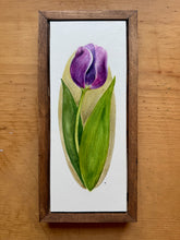 Load image into Gallery viewer, Purple Tulip - Framed Botanical Original
