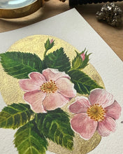 Load image into Gallery viewer, Wild Rose | Framed Original Watercolor by Cynthia Oswald
