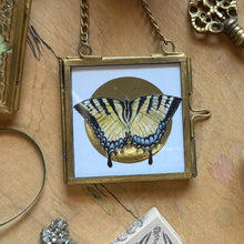 Load image into Gallery viewer, Butterfly Ornament — Gold Foil Halo (Choose Your Butterfly)

