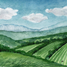 Load image into Gallery viewer, Emerging Vista | Framed Original Watercolor by Cynthia Oswald
