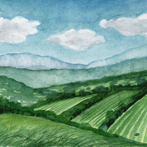 Emerging Vista | Framed Original Watercolor by Cynthia Oswald