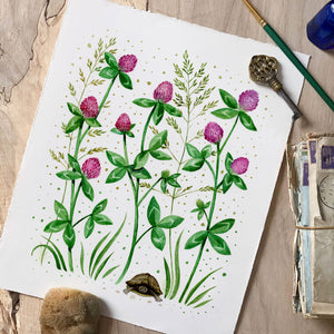 Natural Abundance, Clovers | Framed Original Watercolor by Cynthia Oswald
